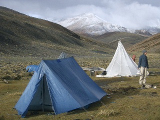 Camp 4700m (Rumtse - Tsumoriri Trek)
