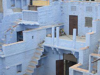 Les maisons bleues de Jodhpur