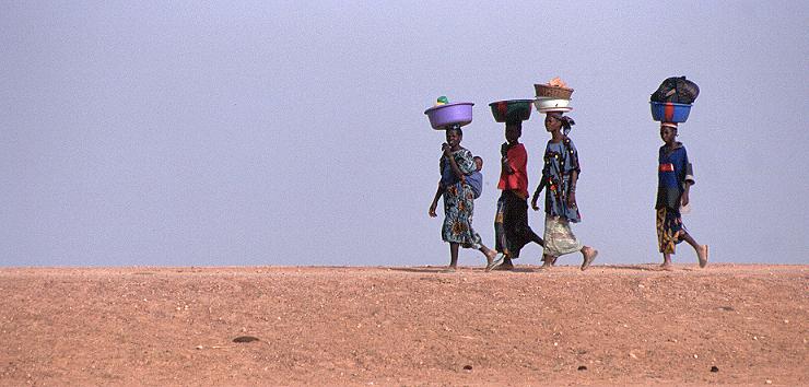 another nice picture :-)