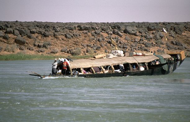 another nice picture :-)