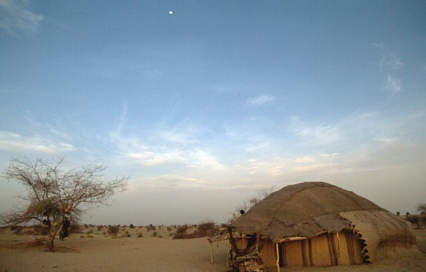 another nice picture :-)