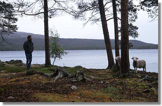 another nice picture :-)