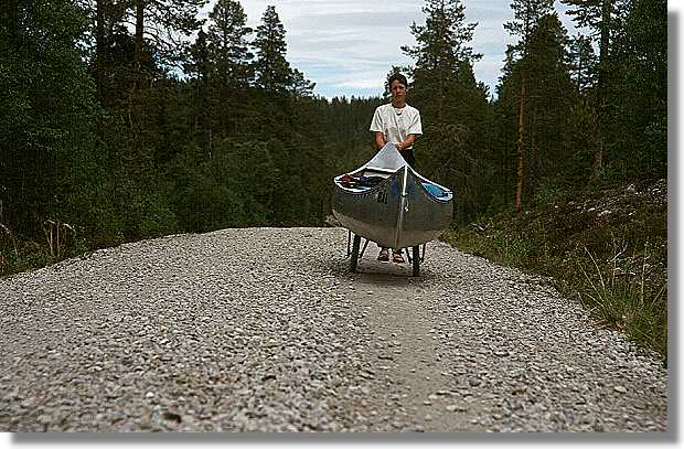 another nice picture :-)