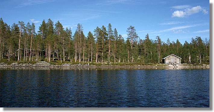 another nice picture :-)