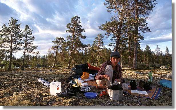 another nice picture :-)