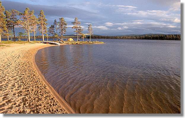 another nice picture :-)