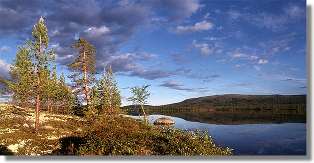 another nice picture :-)