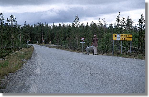 another nice picture :-)