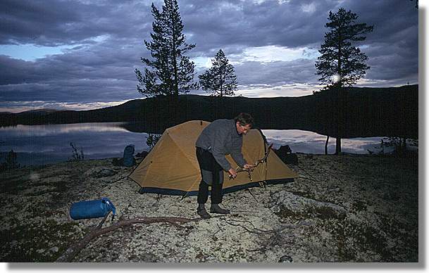 another nice picture :-)