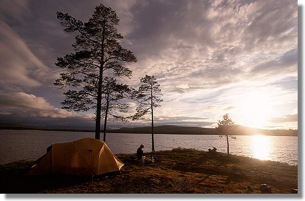 another nice picture :-)