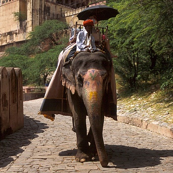 another nice picture :-)