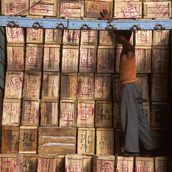 another nice picture :-)