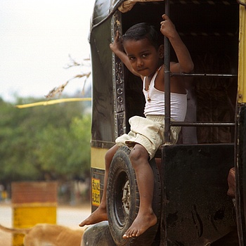 another nice picture :-)