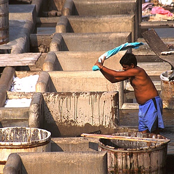 another nice picture :-)