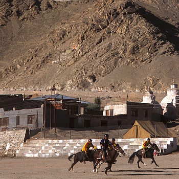 another nice picture :-)