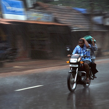 another nice picture :-)