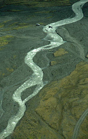 another nice picture :-)