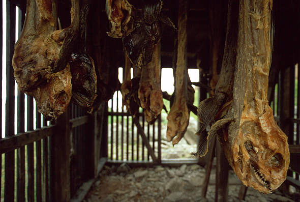 another nice picture :-)