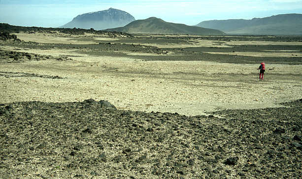 another nice picture :-)