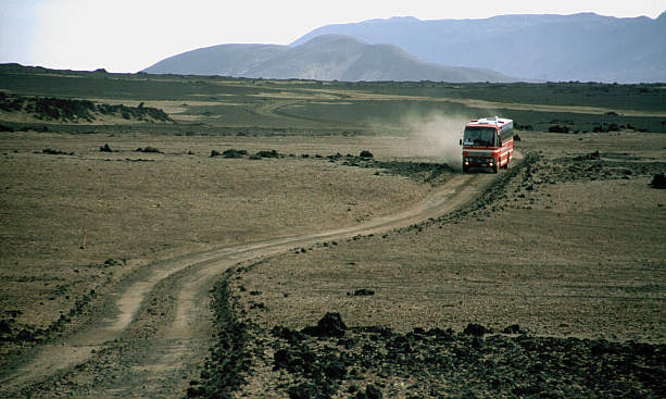 another nice picture :-)