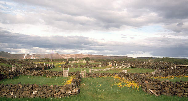 another nice picture :-)