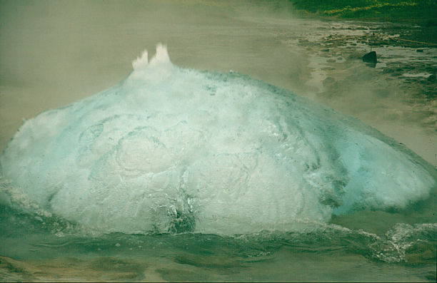 another nice picture :-)