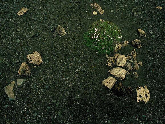 another nice picture :-)