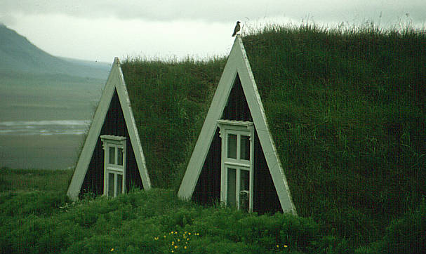 another nice picture :-)