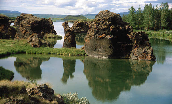 another nice picture :-)