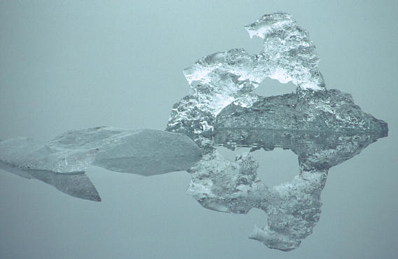 another nice picture :-)