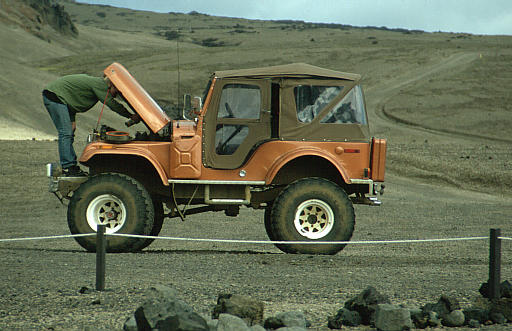 another nice picture :-)