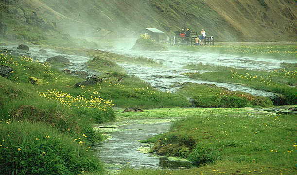 another nice picture :-)