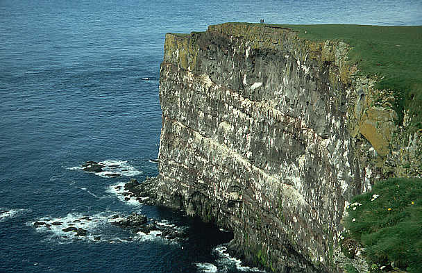 another nice picture :-)