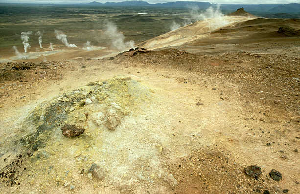 another nice picture :-)