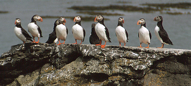 another nice picture :-)