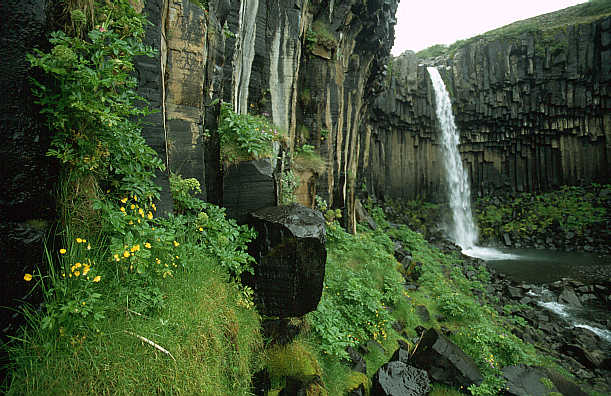 another nice picture :-)