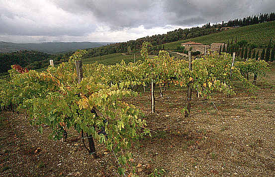 another nice picture :-)