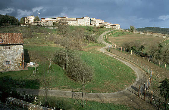 another nice picture :-)