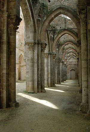 another nice picture :-)