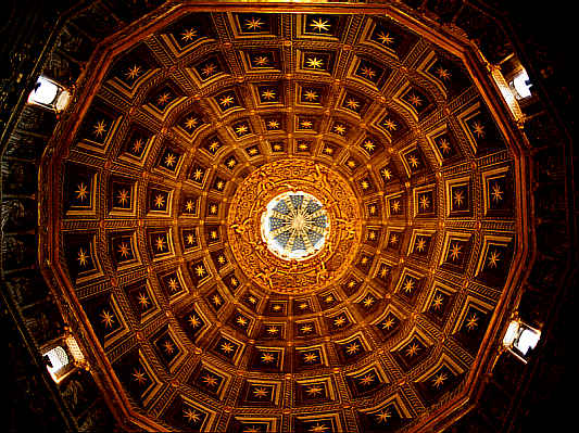 another nice picture :-)