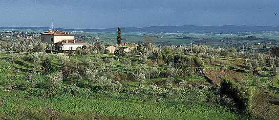 another nice picture :-)