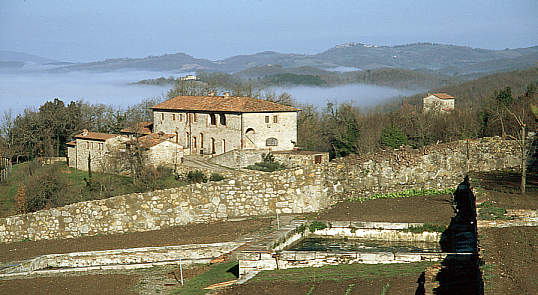 another nice picture :-)