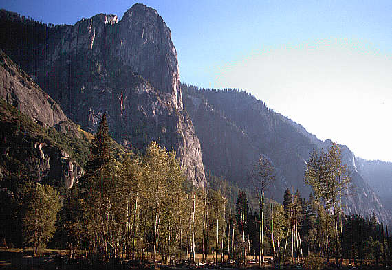 another nice picture :-)