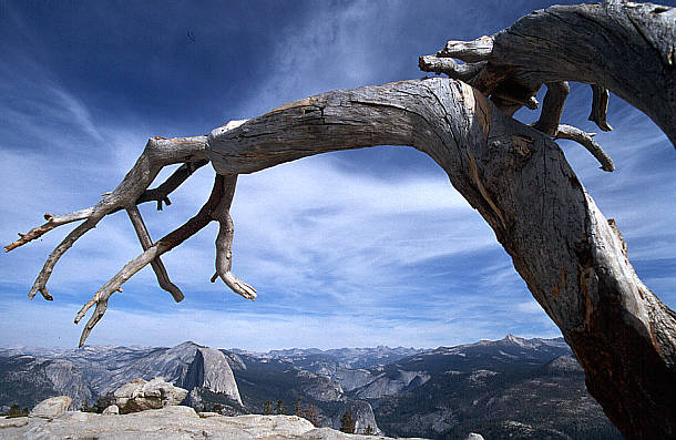 another nice picture :-)