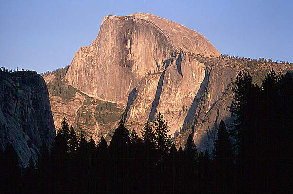 another nice picture :-)