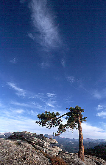 another nice picture :-)