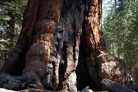 another nice picture :-)