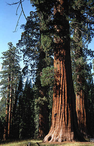 another nice picture :-)