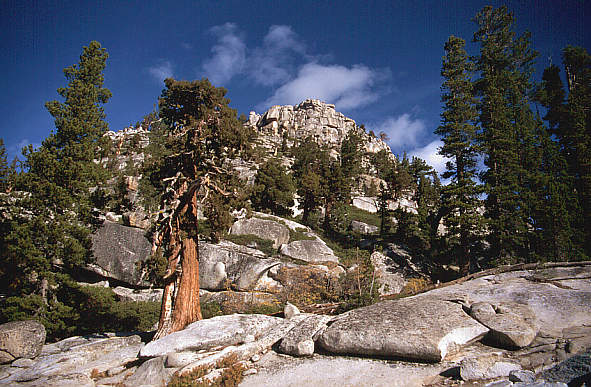 another nice picture :-)