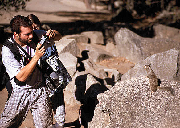 another nice picture :-)